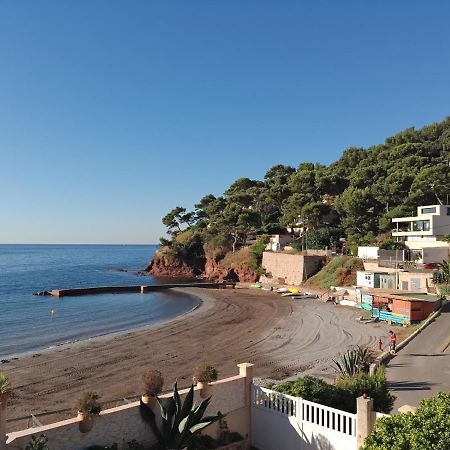 Loft Climatise "La Pinede", 50 M2, Tres Calme, 5 Mn A Pied Des Plages, Lit King Size La Seyne-sur-Mer Ngoại thất bức ảnh