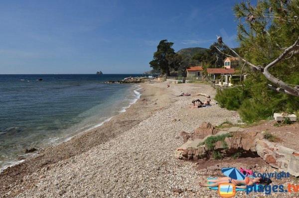 Loft Climatise "La Pinede", 50 M2, Tres Calme, 5 Mn A Pied Des Plages, Lit King Size La Seyne-sur-Mer Ngoại thất bức ảnh