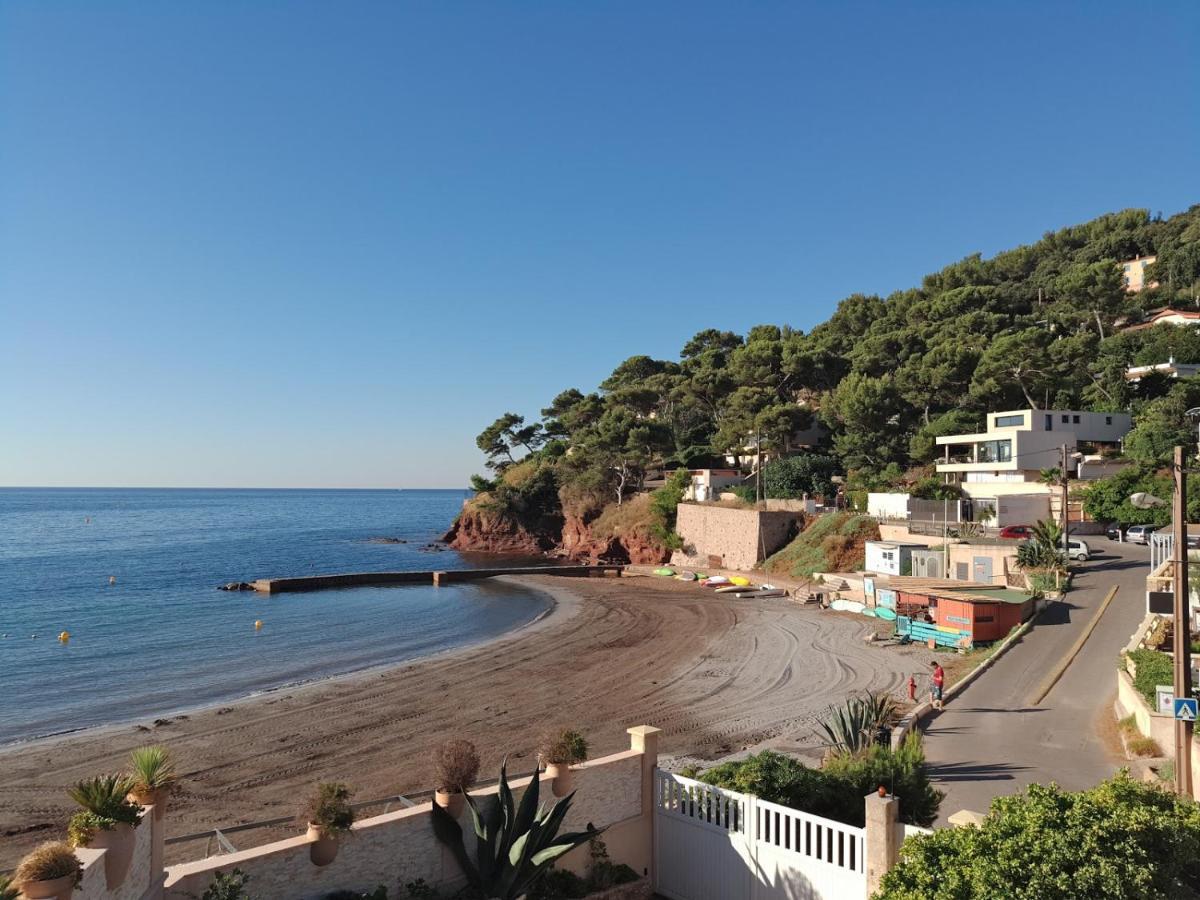 Loft Climatise "La Pinede", 50 M2, Tres Calme, 5 Mn A Pied Des Plages, Lit King Size La Seyne-sur-Mer Ngoại thất bức ảnh